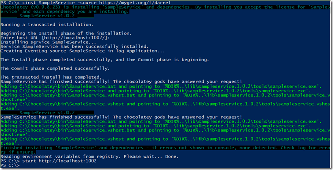 Install Self Hosting Owin Console