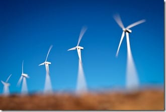 Wildmils Client Server