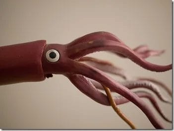 Query String Squid