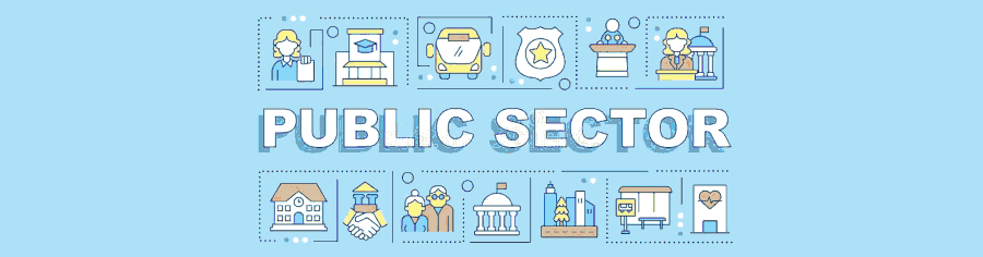 public sector