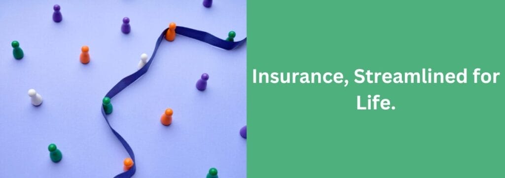 Insurance, Streamlined for Life.