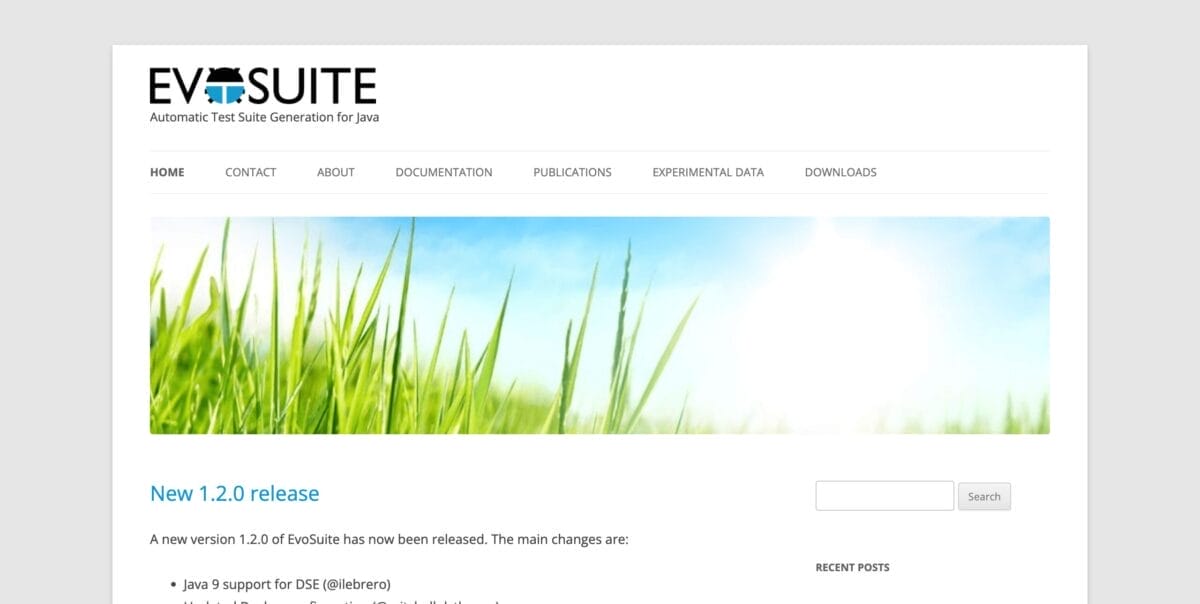 EvoSuite
